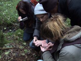Seekers – Manche Orte sollten nie entdeckt werden