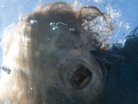 Fear the Walking Dead (Staffel 2)