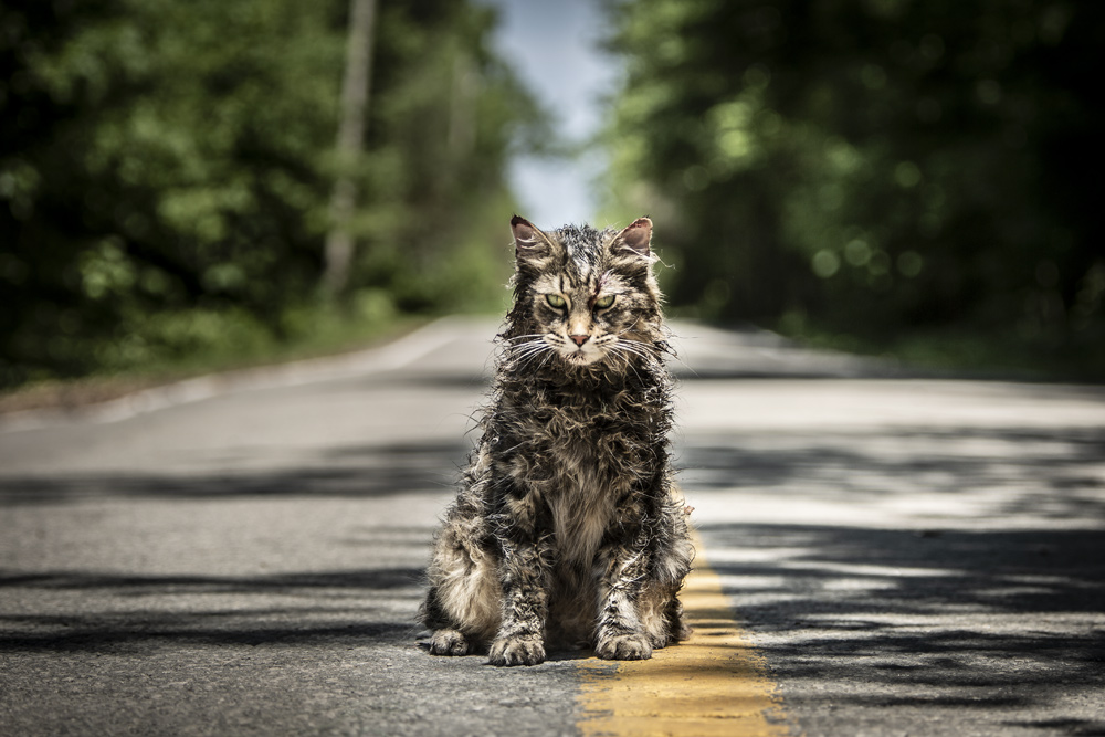 „Friedhof der Kuscheltiere“ ab 4. April 2019 im Kino