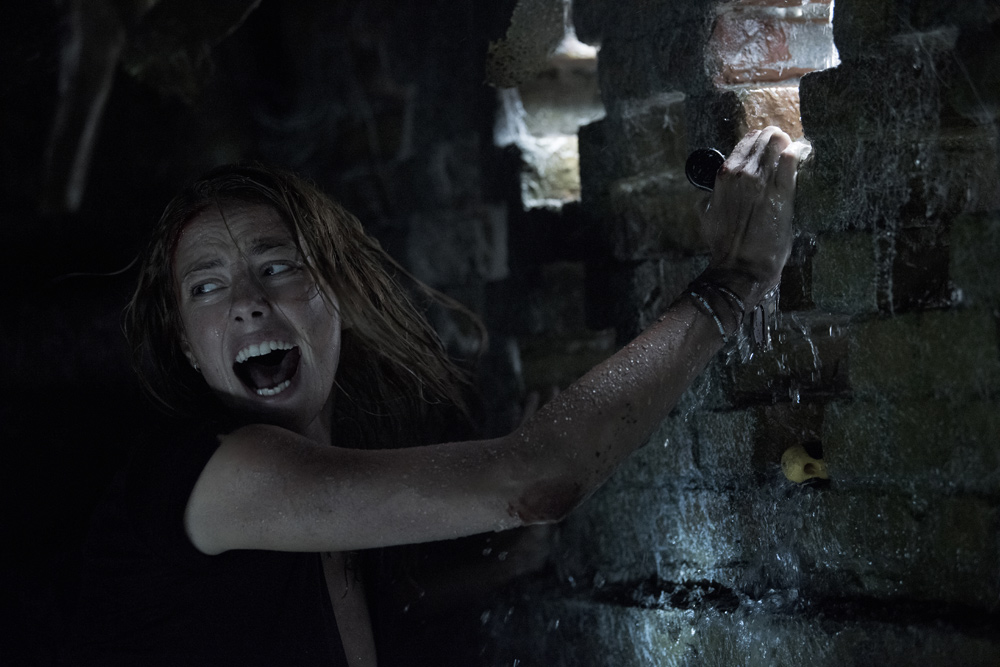 „Crawl“ ab 22. August 2019 im Kino