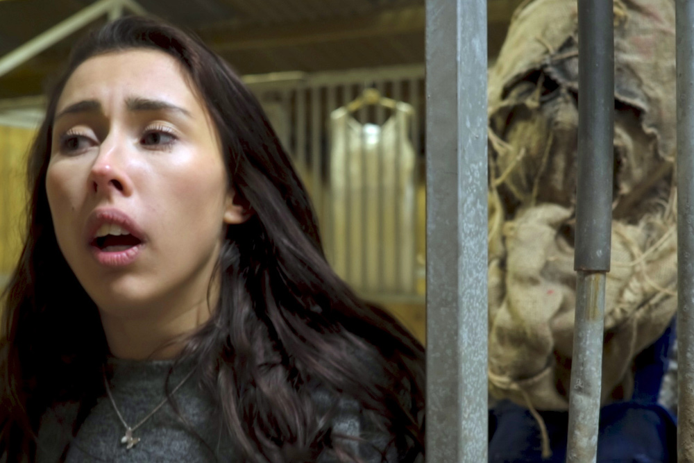 „Scarecrow Rising“ ab 26. Juli 2019 als Blu-ray, DVD und Stream