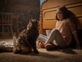 „Friedhof der Kuscheltiere (2019)“ ab 15. August 2019 als Blu-ray, DVD und Stream