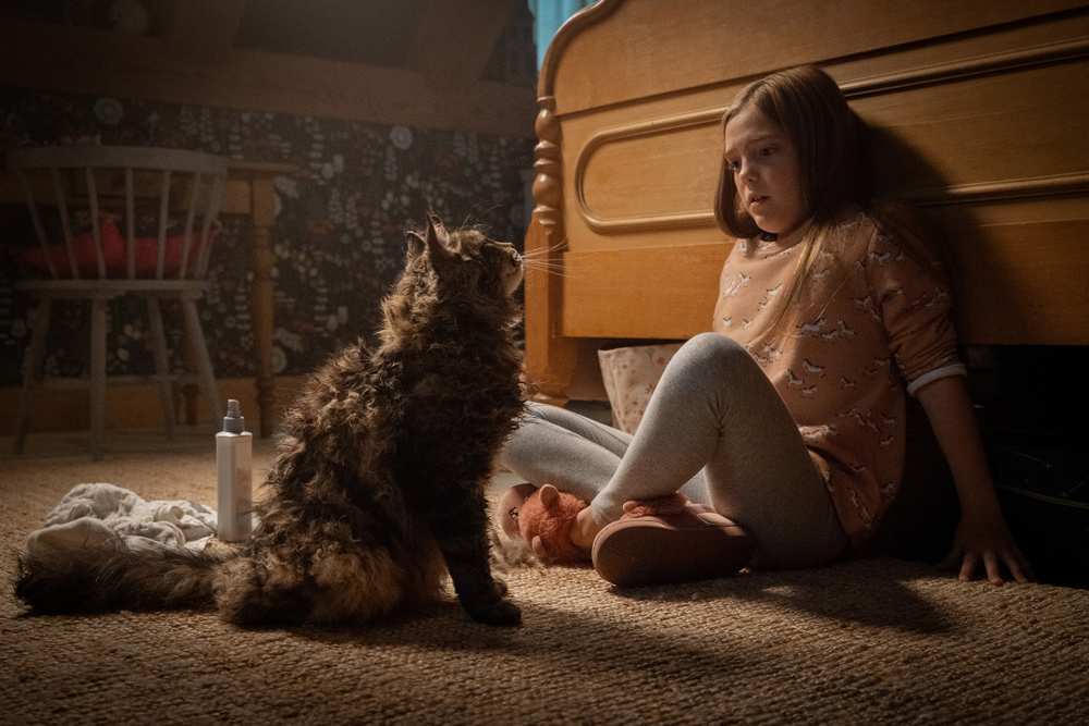 „Friedhof der Kuscheltiere (2019)“ ab 15. August 2019 als Blu-ray, DVD und Stream