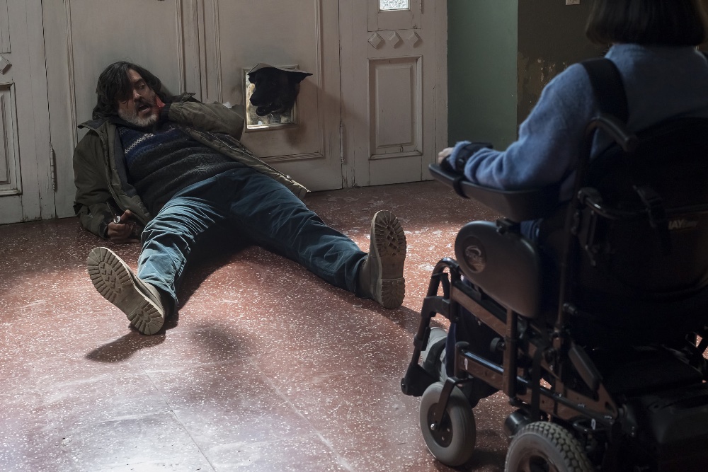 Growl ab 7. Mai 2021 als Blu-ray, DVD und Stream