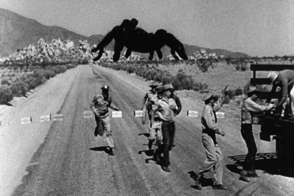 Heute auf 3sat: Tarantula