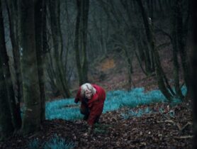 Hunted – Waldsterben
