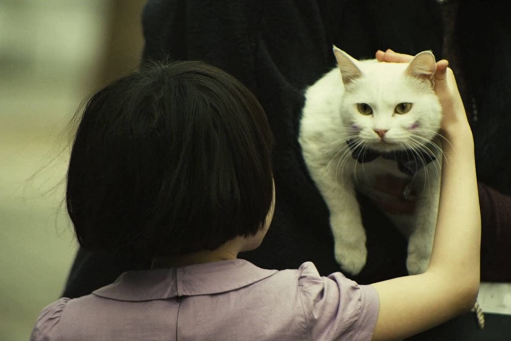 Asiatischer Horror-Shocker The Cat ab sofort auf DVD, Blu-ray und Stream