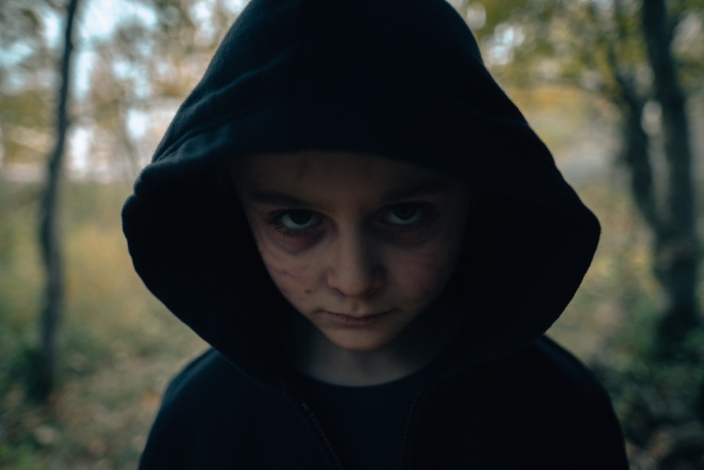 Hund beißt Kind: Blood ab 27. Oktober 2023 auf DVD und Blu-ray