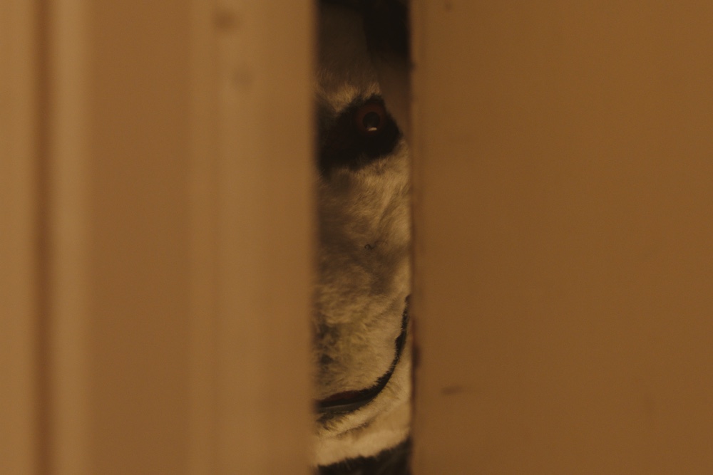 Norwegen-Horror Good Boy ab 22. Februar 2024 im Kino