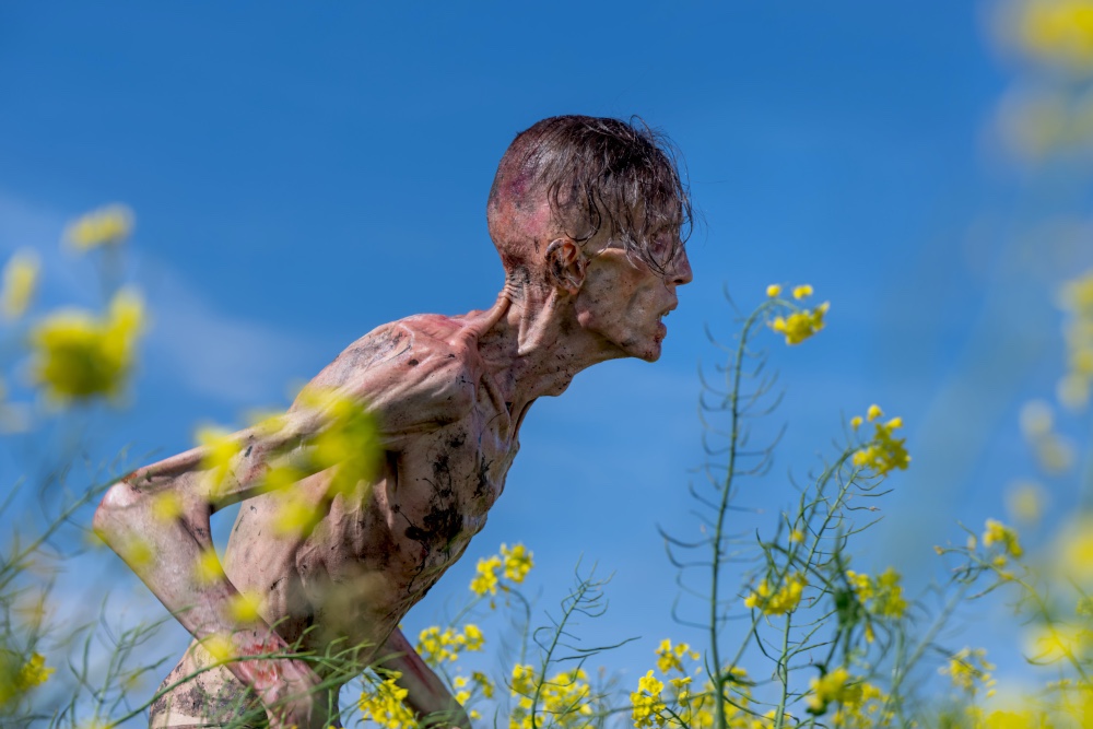 Skinny Noris, oder? (Foto: Sony Pictures) Skinny Noris, oder? (Foto: Sony Pictures)